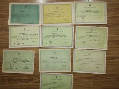 Lot 10 diplome premii scolare, RSR, 1969-1978, Iasi, Diamche Iulian Catalin foto