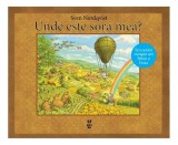 Cumpara ieftin Unde este sora mea? - Hardcover - Pandora M