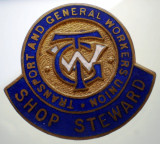I.683 INSIGNA REVER BUTONIERA SHOP STEWARD TGW TRANSPORT AND GENERAL WORKERS, America de Nord