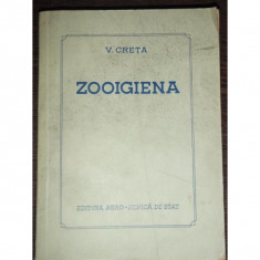 ZOOIGIENA - V. CRETA foto