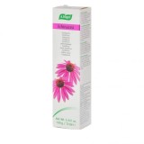 Cumpara ieftin Pastă de dinți cu echinacea A.VOGEL 100gr