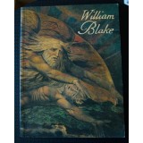 Martin Butlin - William Blake (catalogul expoziției retrospective Tate Gallery)