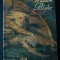 Martin Butlin - William Blake (catalogul expoziției retrospective Tate Gallery)