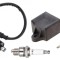 CDI + Bobina Inductie + Bujie Scuter PGO PM X 49cc 50cc 80cc