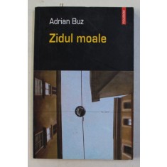 ZIDUL MOALE de ADRIAN BUZ , 2005