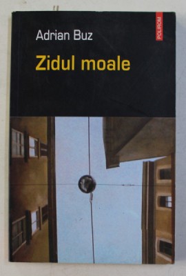 ZIDUL MOALE de ADRIAN BUZ , 2005 foto