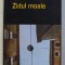 ZIDUL MOALE de ADRIAN BUZ , 2005