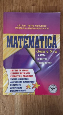 MATEMATICA CLASA A X-A - Catalin Petru Nicolescu foto