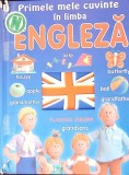 PRIMELE MELE CUVINTE IN ENGLEZA-COLECTIV-273229