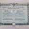 Raritate feroviara Actiuni Calea Ferata Timisoara- Modos (Banat), Temesvar 1912!