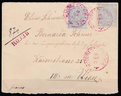 ROMANIA 1893 REGELE CAROL I CIFRA PLIC FRANCAT 25B+25B CIRCULAT BUCURESTI-VIENA foto