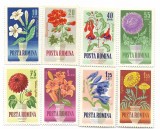 Romania - Flori de gradina, 1964 - serie neobliterata