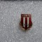 insigna Vointa 1951