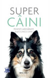 Super c&acirc;ini. Povești adevărate despre curajul canin - Paperback brosat - Ben Holt - Didactica Publishing House