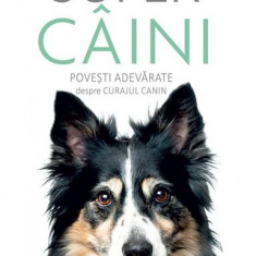 Super câini. Povești adevărate despre curajul canin - Paperback brosat - Ben Holt - Didactica Publishing House