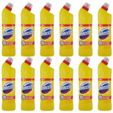 12 x Domestos Citrus Fresh, Dezinfectant universal pentru WC, 12 x 750ml