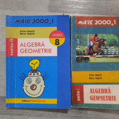Algebra.Geometrie.Clasa a 8 a.Partea I si II de Anton Negrila,Maria Negrila