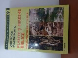 Plante Și Miresme Biblice-Ovidiu Bojor