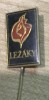 Insigna UNGARIA LEZAKY