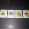 TIMBRE DDR INSECTE
