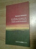 Cumpara ieftin Iudaismul - Foarte scurta introducere - Norman Solomon (Editura Allfa, 2007)