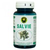 SALVIE 60cps HYPERICUM, HYPERICUM IMPEX