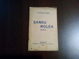 SANDU MOLEA (nuvela) - Alexandru Agnese - Imprimeria R. Sergies, 1915, 30 p., Alta editura