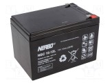 Acumul: plumb-acid 12V 15Ah AGM nu necesită &icirc;ntreţinere 4,5kg