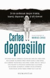 Cartea depresiilor - Marius Chivu