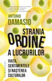 Cumpara ieftin Strania Ordine a lucrurilor. Viata, sentimentele si nasterea culturilor/Antonio Damasio