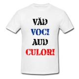 Tricou &quot; Vad voci, aud culori &quot;