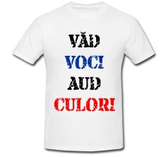 Tricou &amp;quot; Vad voci, aud culori &amp;quot; foto