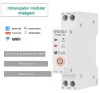 Intrerupator Inteligent WiFi 16A Tuya Smart Life Alexa Google Assistant Telecomanda Temporizator Releu Sarcina Maxima 230V 50/60Hz