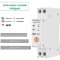 Intrerupator inteligent WIFI 16A TUYA