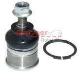 Pivot HONDA ACCORD VI Coupe (CG) (1997 - 2003) METZGER 57014318