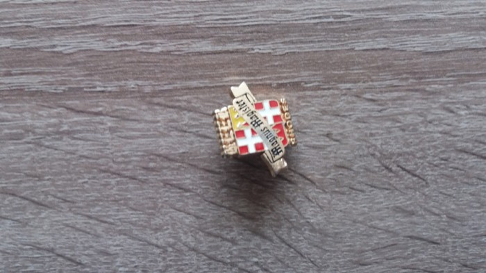 QW9 N8 39 - insigna - tematica heraldica - Beer Rhodes - Magnus Magister