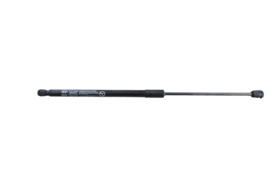Amortizor capota st&amp;acirc;nga față HYUNDAI IONIQ 5 NE 2023 OEM: 81161-GI000 26246600 foto