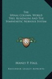 The Spinal Column, World Tree, Kundalini and the Sympathetic Nervous System