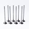 Set Supape Admisie Logan Ii 1.2 16V 70805 55828