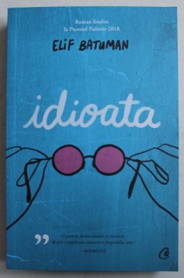 IDIOATA de ELIF BATUMAN , 2019 foto