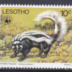 DB1 Lesotho 1976 Fauna WWF 5 v. MNH