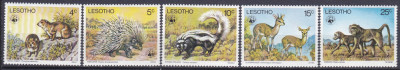DB1 Lesotho 1976 Fauna WWF 5 v. MNH foto
