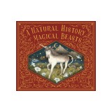 A Natural History of Magical Beasts