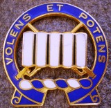 II.107 INSIGNA MILITARA INFANTERIE PIN US U.S. Army 7th Infantry Regiment, America de Nord