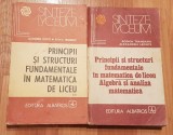 Principii si structuri fundamentale in matematica de liceu (2 vol)