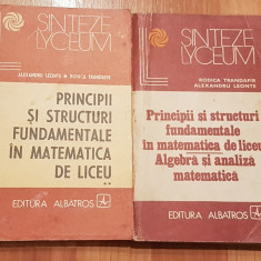 Principii si structuri fundamentale in matematica de liceu (2 vol)