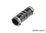 Furtun admisie Citroen DS4 (2011-&gt;) #1