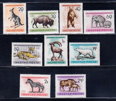 A12 S5 8 - Timbre foarte vechi - Ungaria - animale salbatice foto