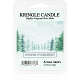 Kringle Candle Winter Evergreen ceară pentru aromatizator 64 g