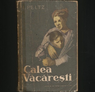 CALEA VACARESTI - I. PELTZ foto